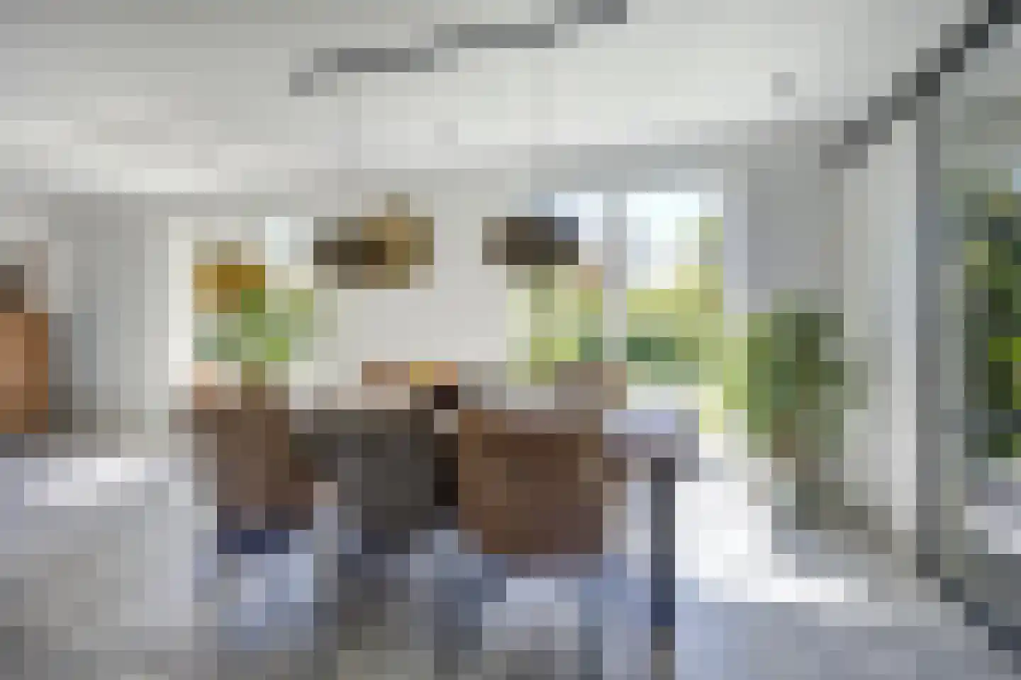 Boomgaard 1 Zundert thumbnail 16