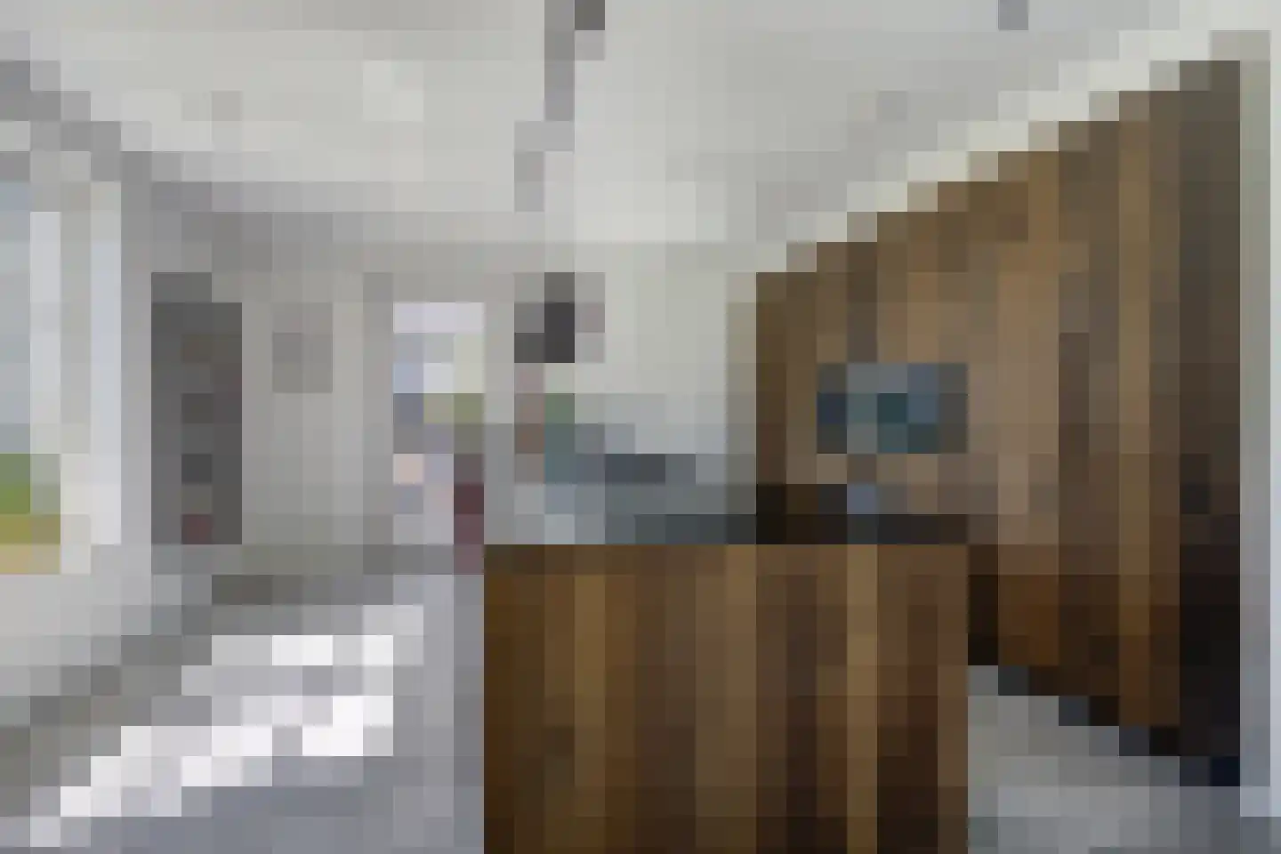 Boomgaard 1 Zundert thumbnail 18