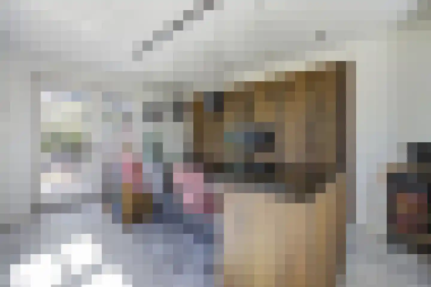 Boomgaard 1 Zundert thumbnail 19