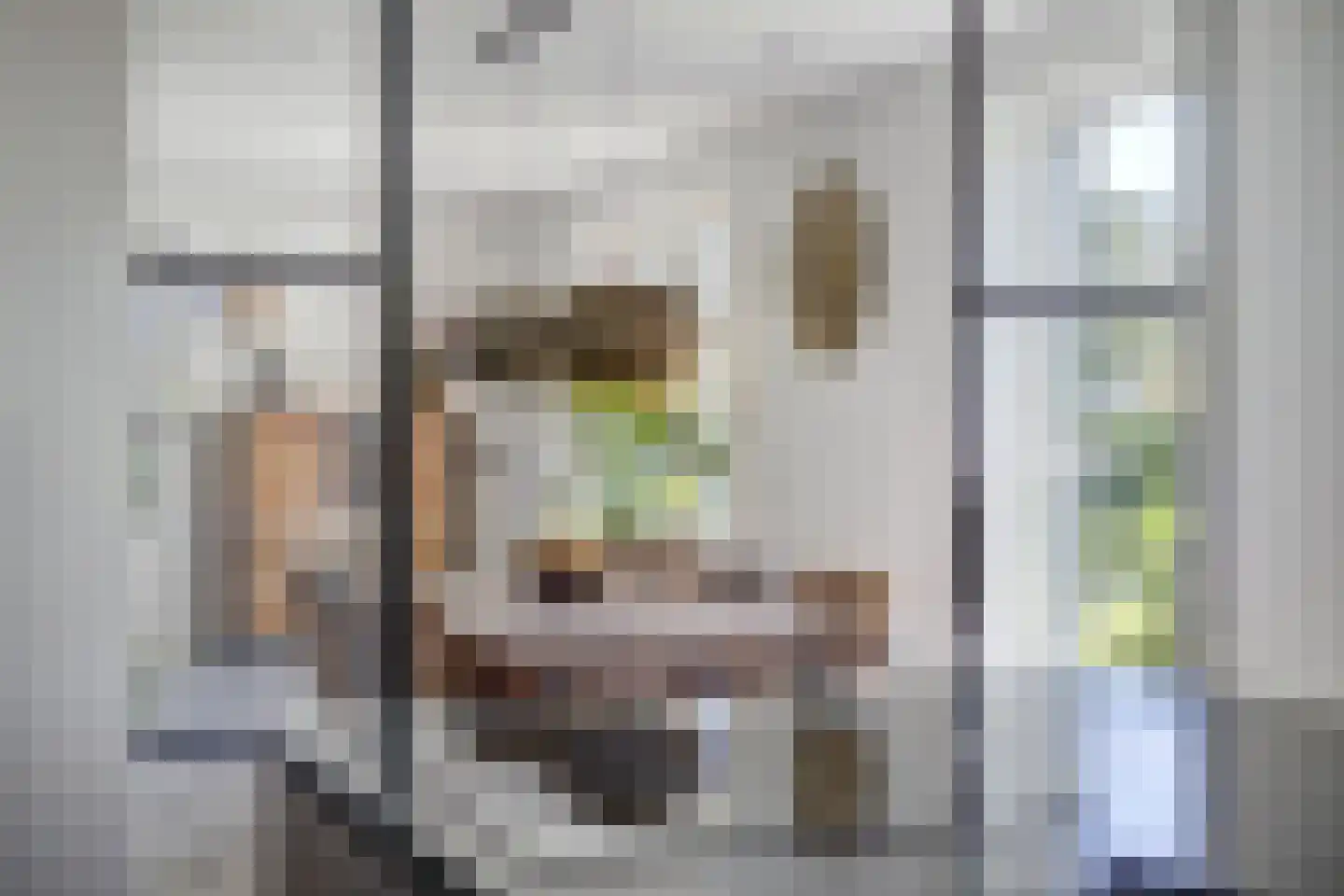Boomgaard 1 Zundert thumbnail 23