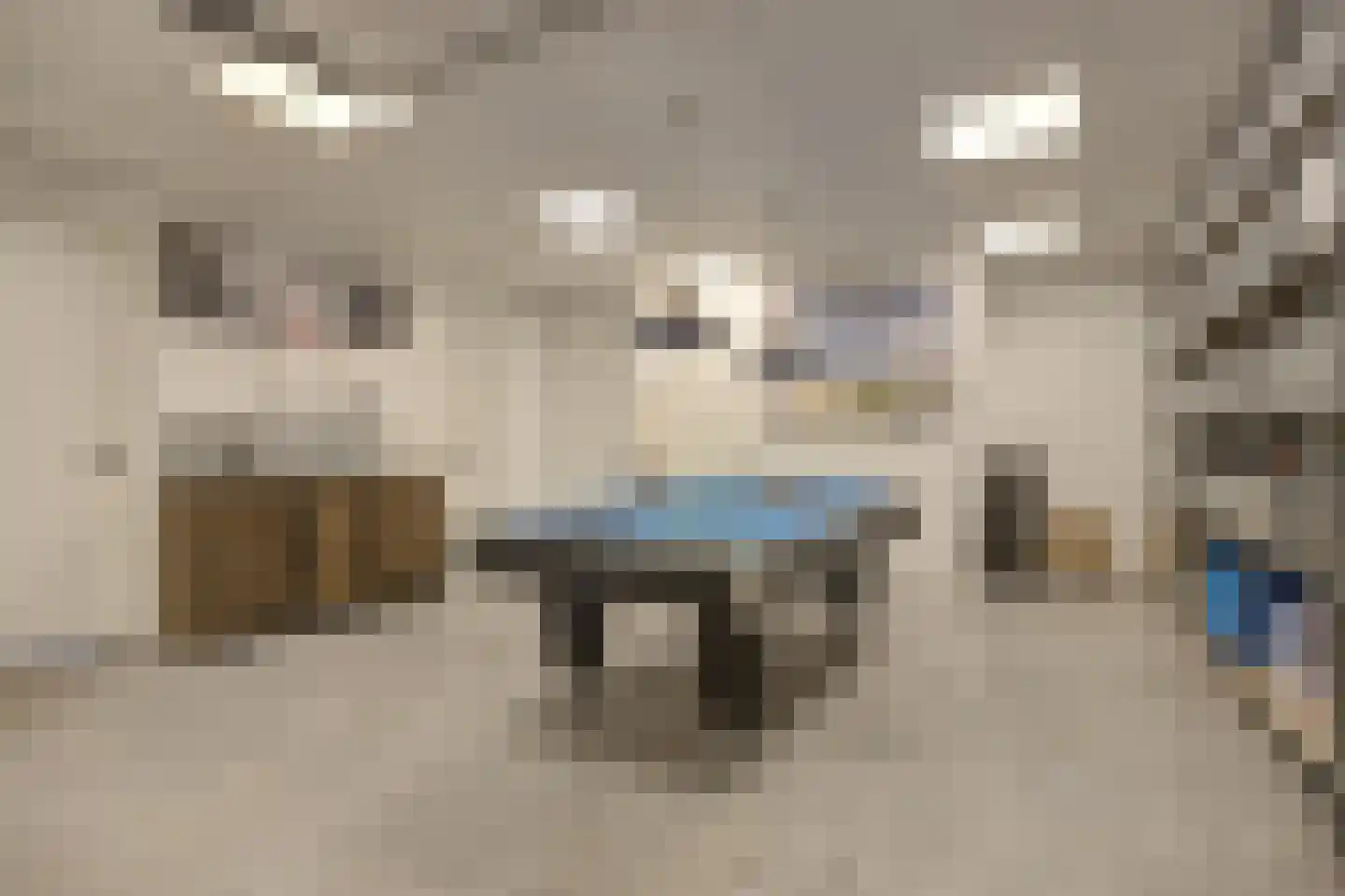 Boomgaard 1 Zundert thumbnail 28