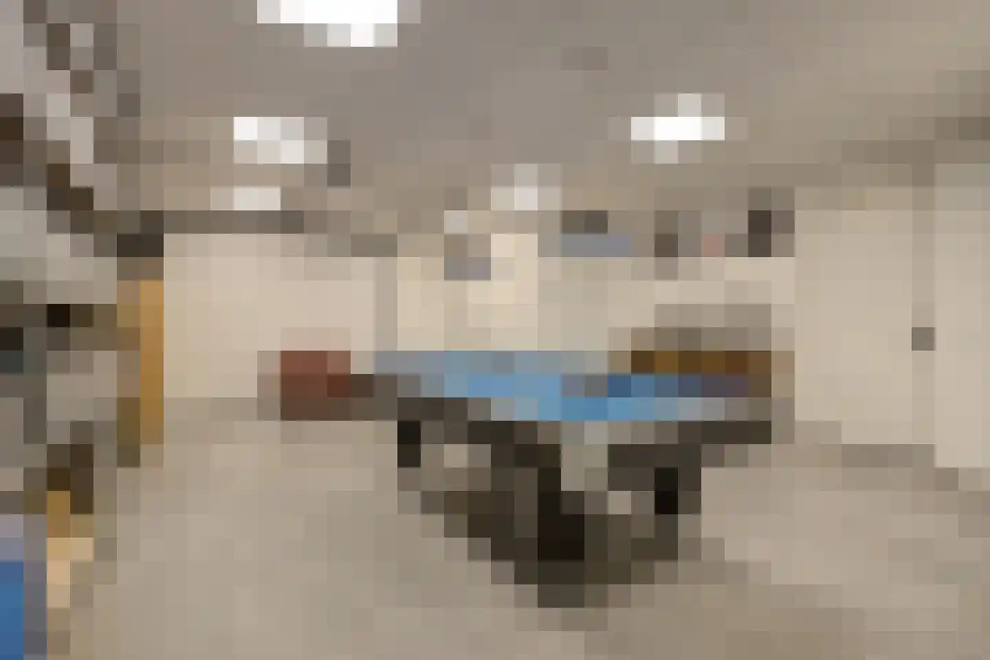 Boomgaard 1 Zundert thumbnail 29