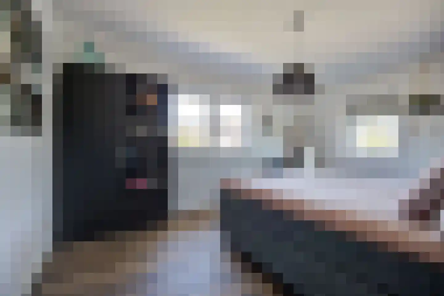 Boomgaard 1 Zundert thumbnail 32
