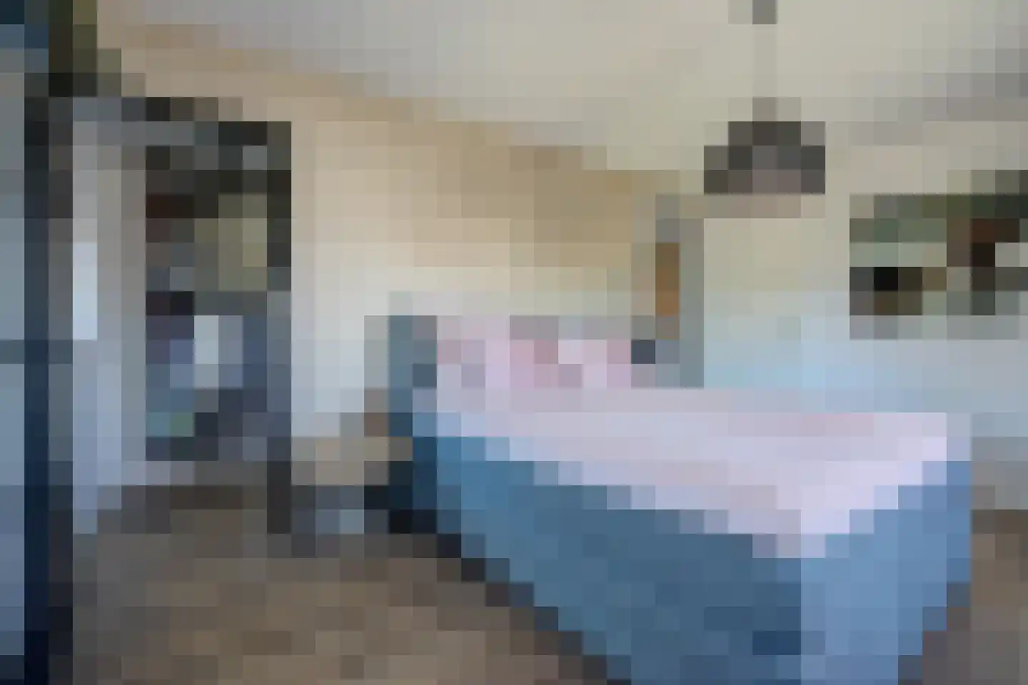 Boomgaard 1 Zundert thumbnail 33