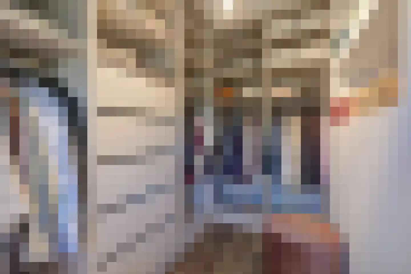 Boomgaard 1 Zundert thumbnail 34
