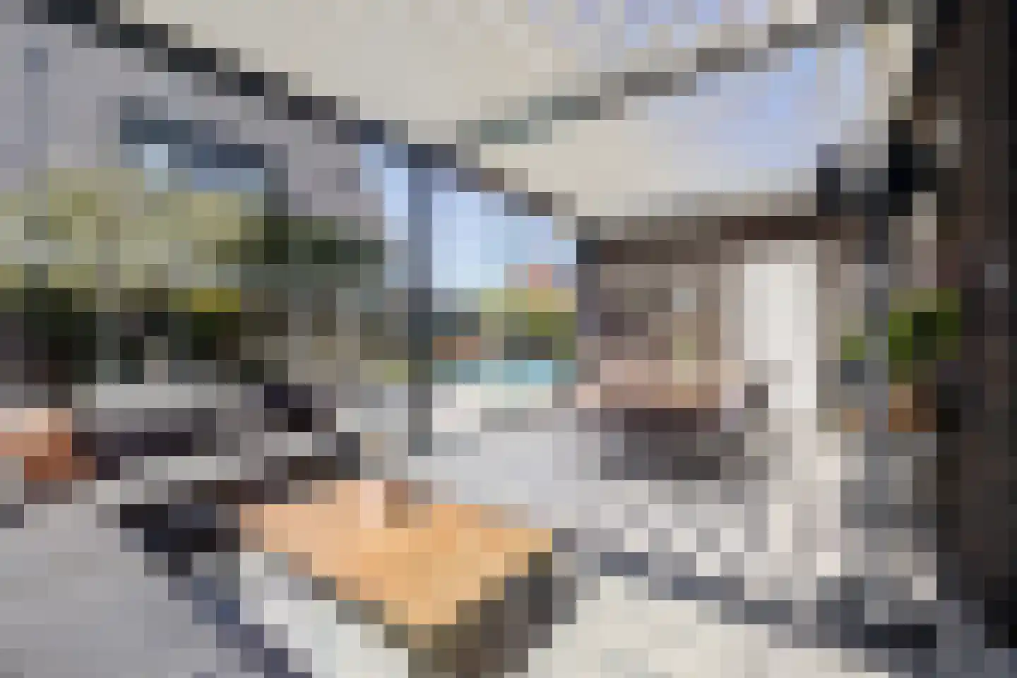 Boomgaard 1 Zundert thumbnail 47
