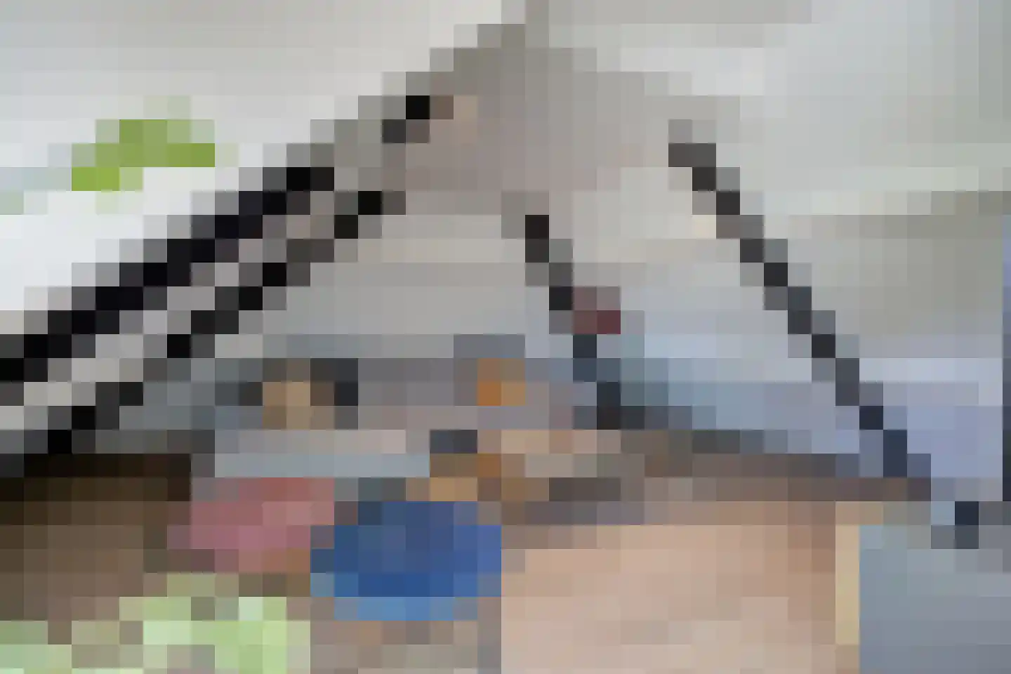Boomgaard 1 Zundert thumbnail 51