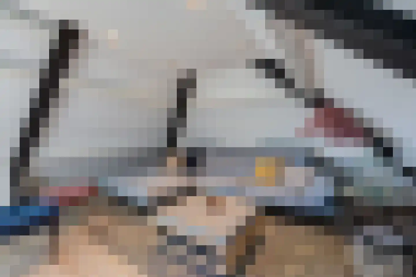 Boomgaard 1 Zundert thumbnail 52