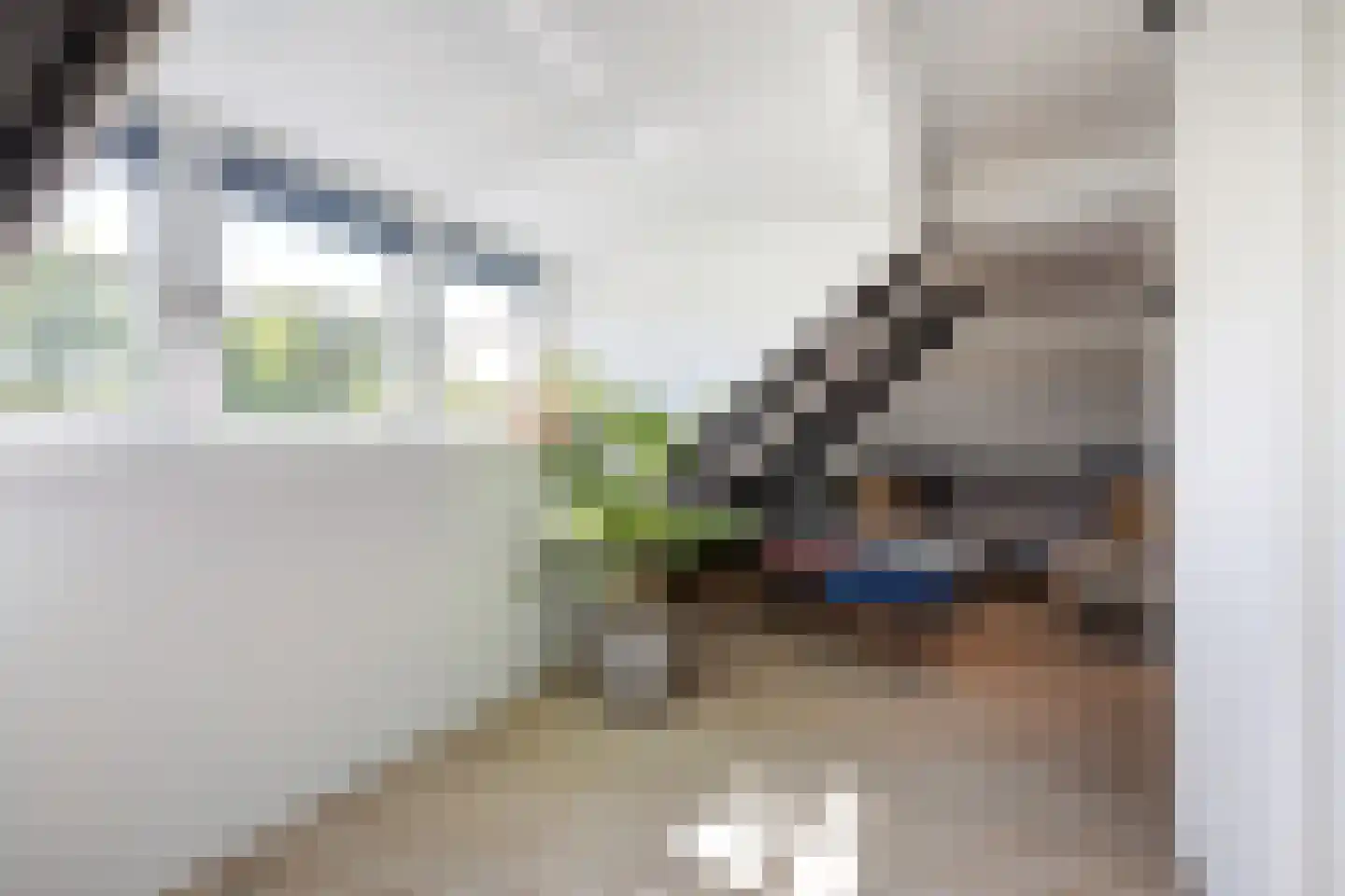 Boomgaard 1 Zundert thumbnail 53
