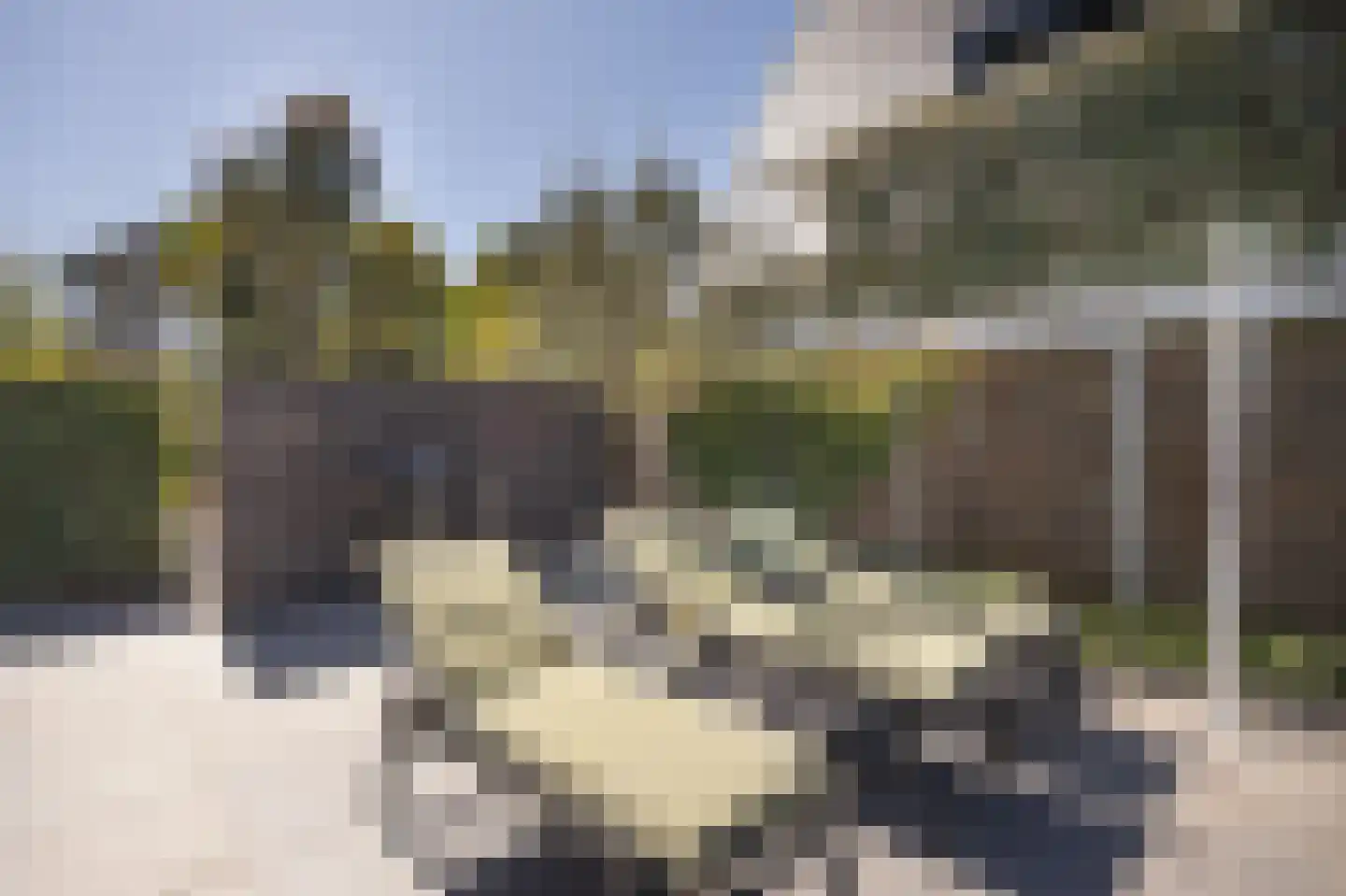 Boomgaard 1 Zundert thumbnail 59