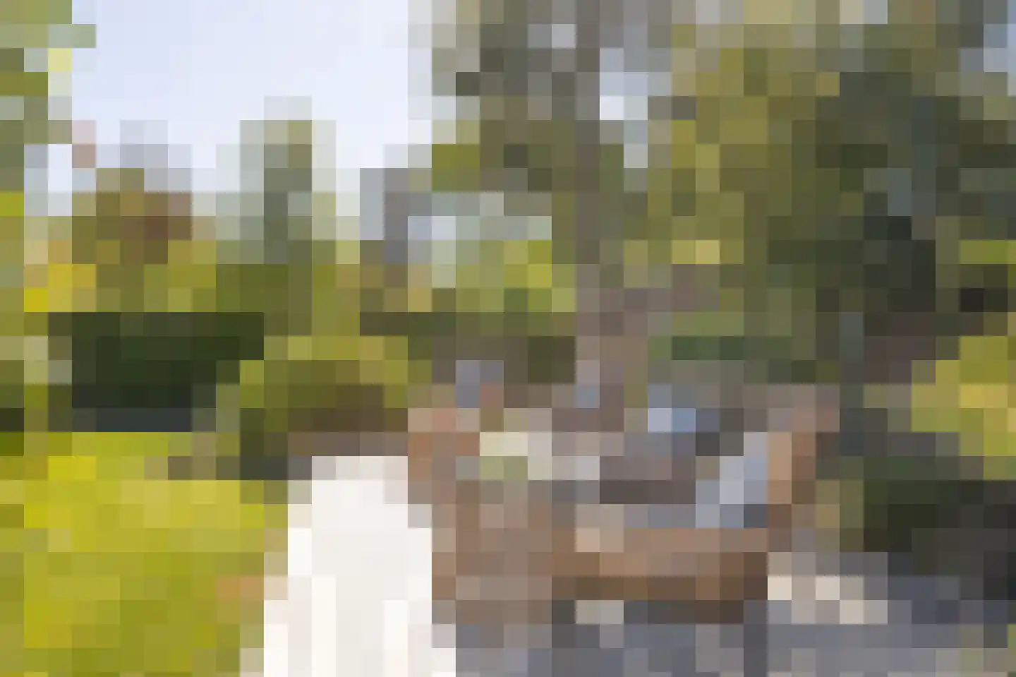 Boomgaard 1 Zundert thumbnail 60
