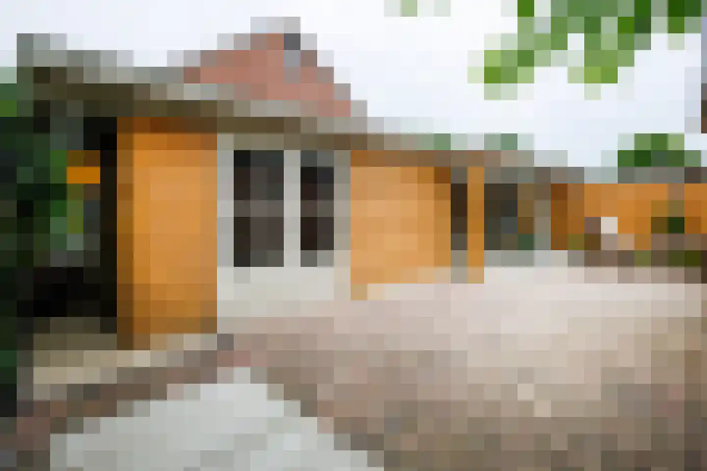 Boomgaard 11 Zelhem thumbnail 20