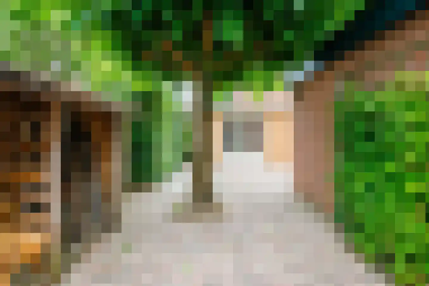 Boomgaard 11 Zelhem thumbnail 24