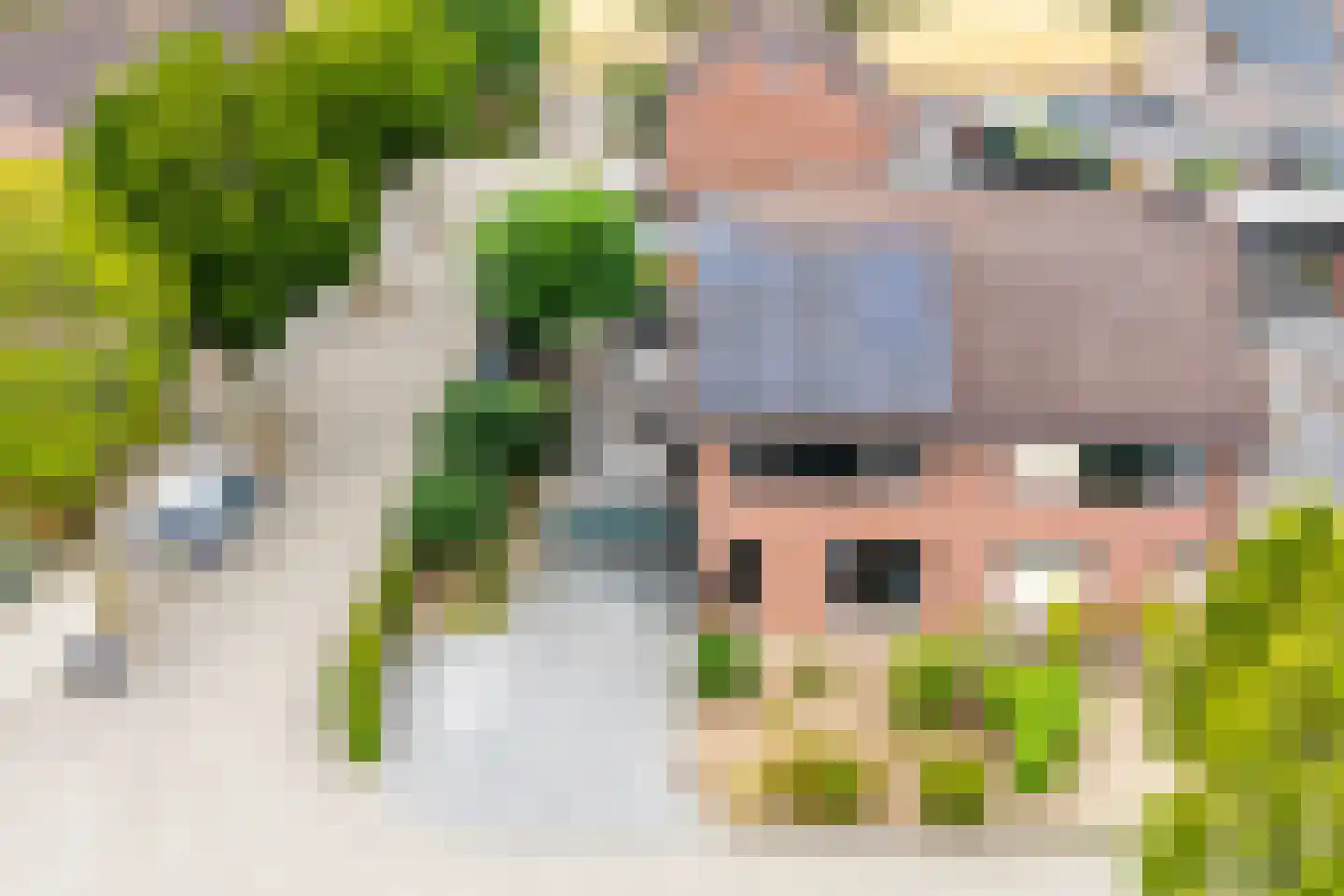 Boomgaard 11 Zelhem thumbnail 45
