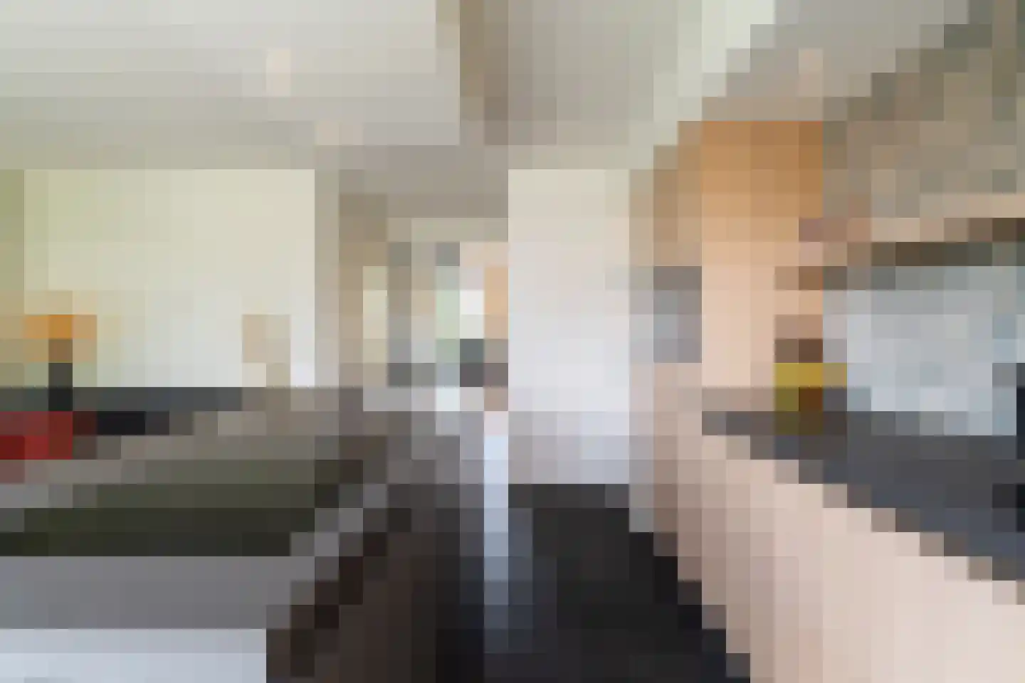 Boomgaard 13 Andel thumbnail 15