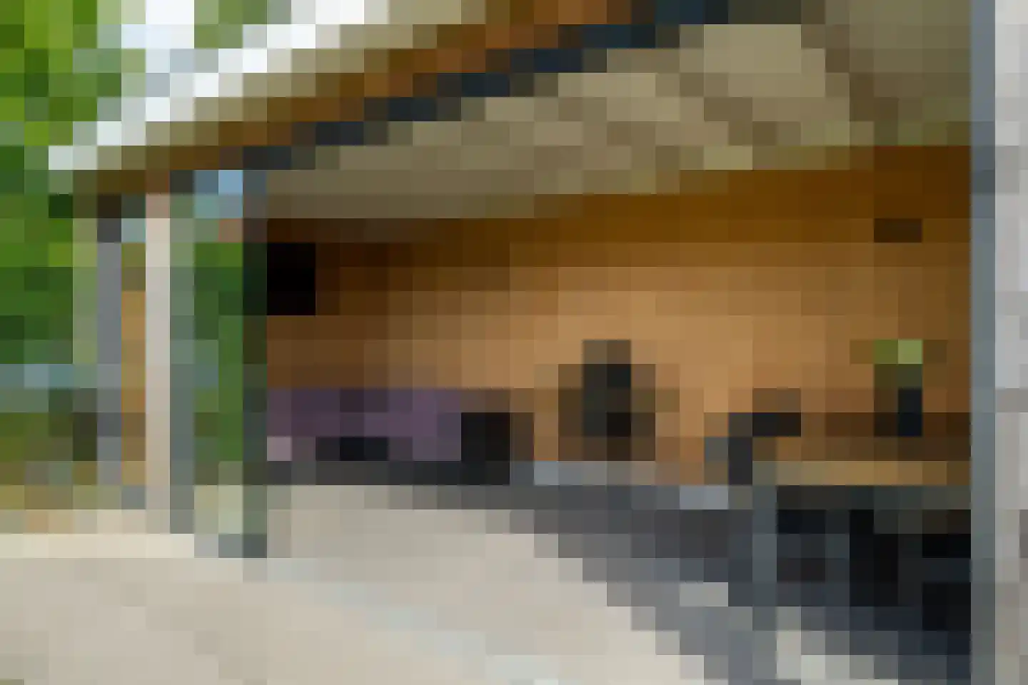 Boomgaard 13 Andel thumbnail 45