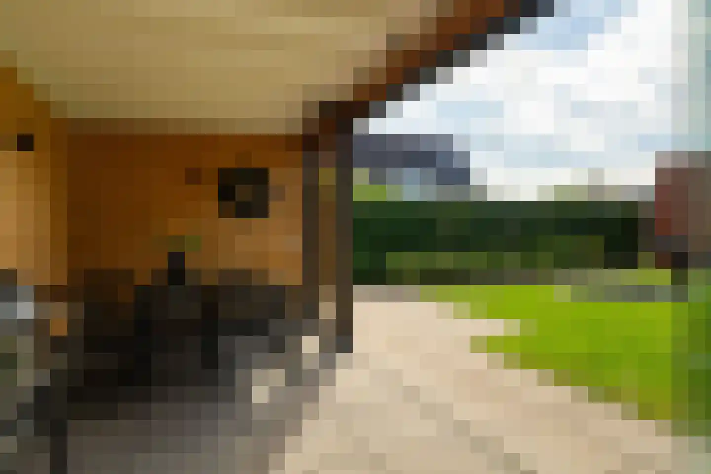 Boomgaard 13 Andel thumbnail 46