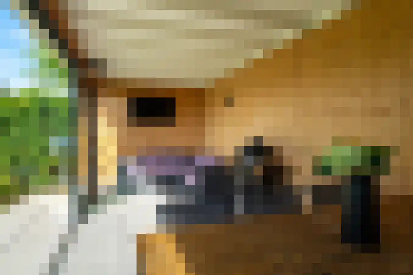 Boomgaard 13 Andel thumbnail 47