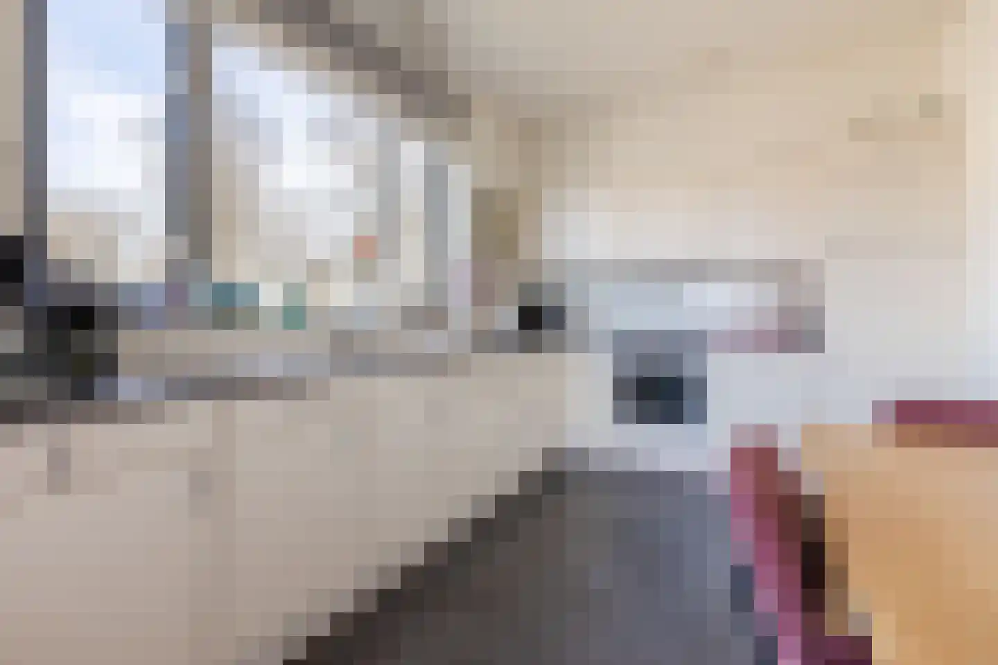 Boomgaard 13 Ruurlo thumbnail 24