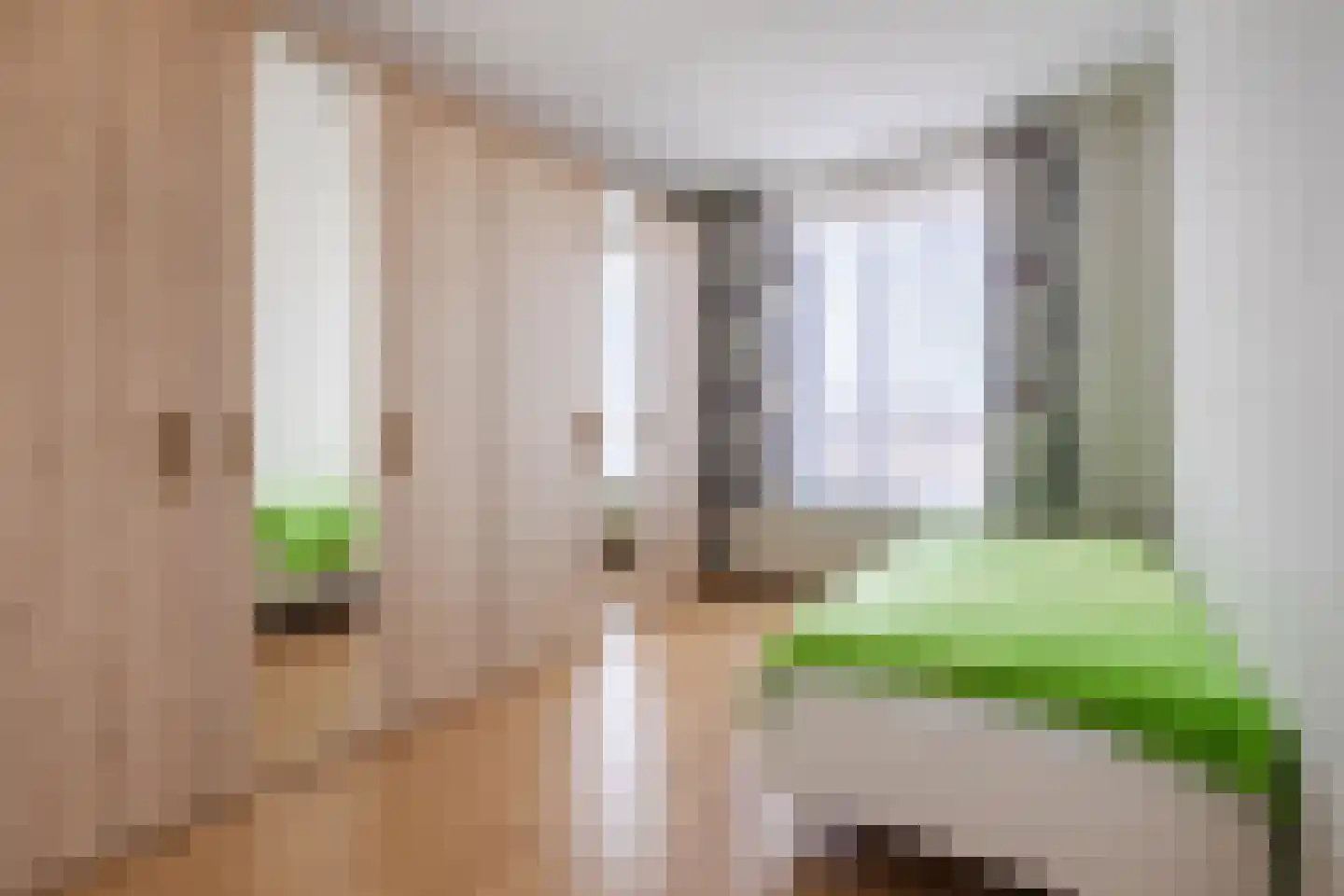 Boomgaard 13 Ruurlo thumbnail 32