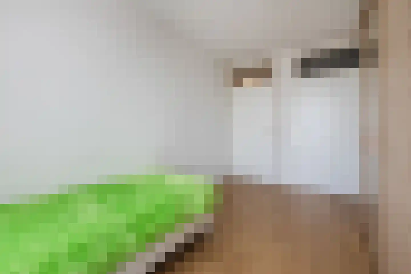 Boomgaard 13 Ruurlo thumbnail 33