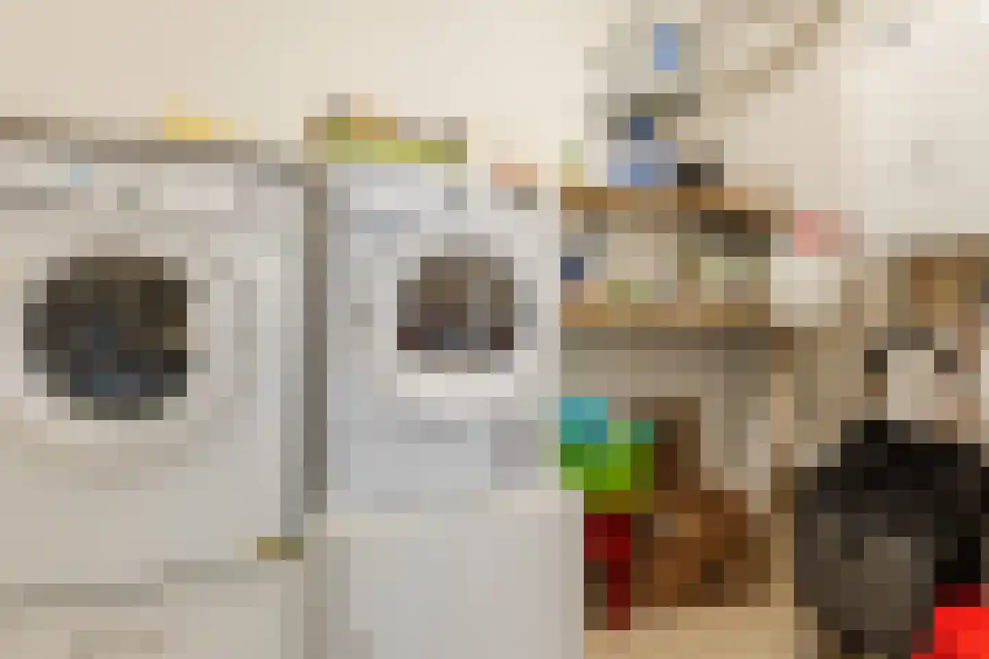 Boomgaard 13 Ruurlo thumbnail 37
