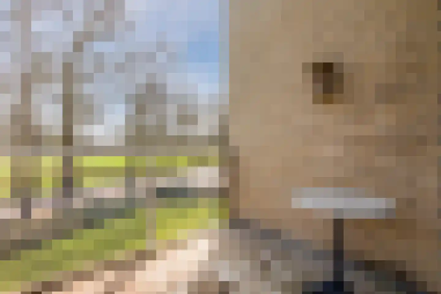 Boomgaard 13 Ruurlo thumbnail 44