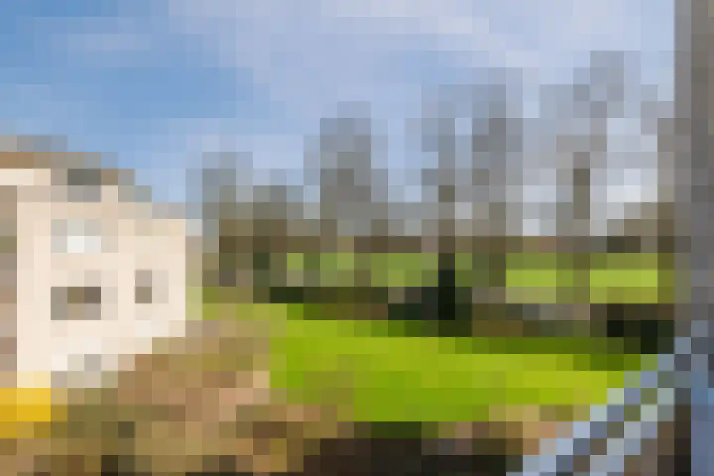 Boomgaard 13 Ruurlo thumbnail 45