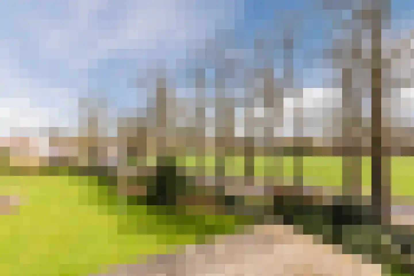Boomgaard 13 Ruurlo thumbnail 46