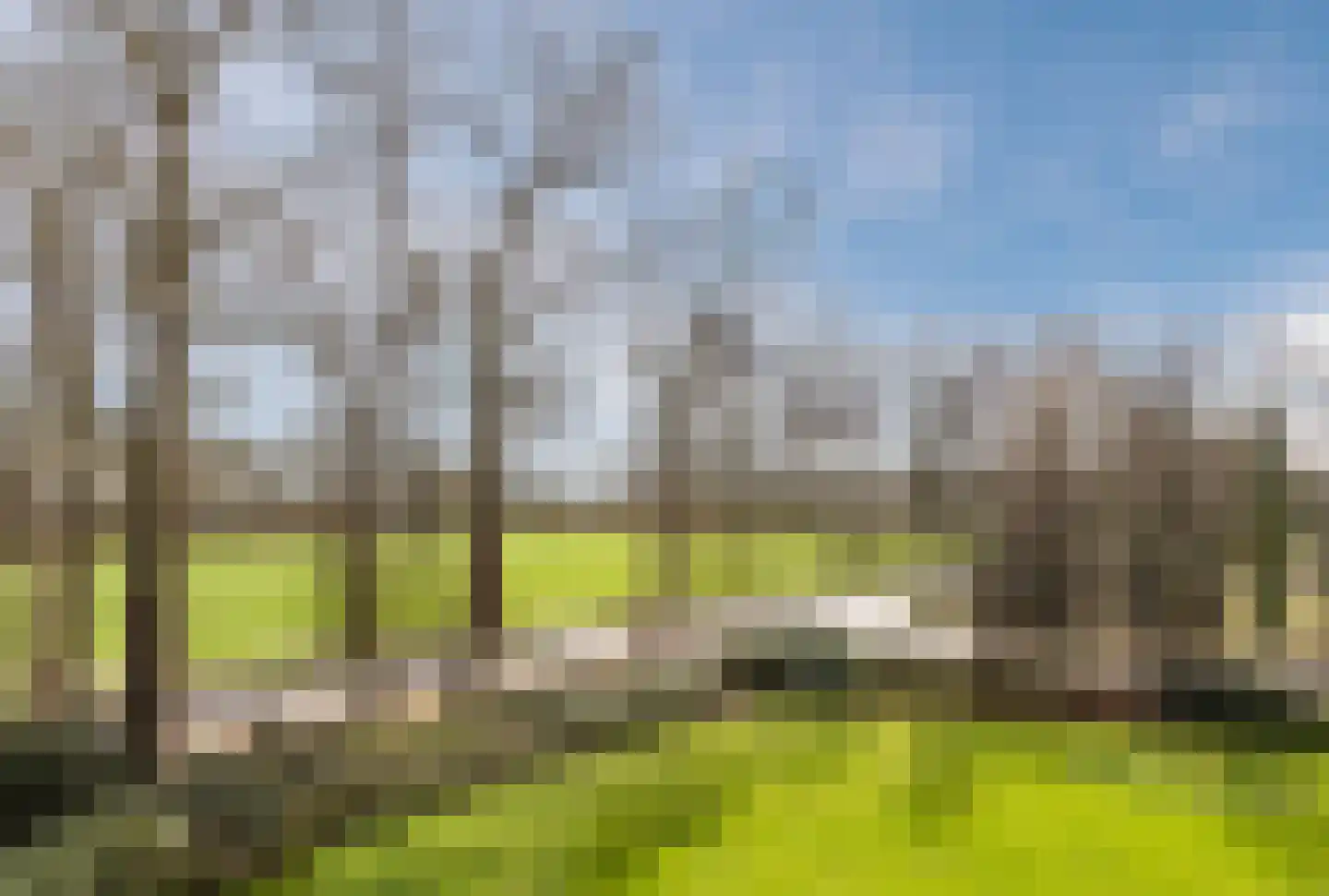 Boomgaard 13 Ruurlo thumbnail 47