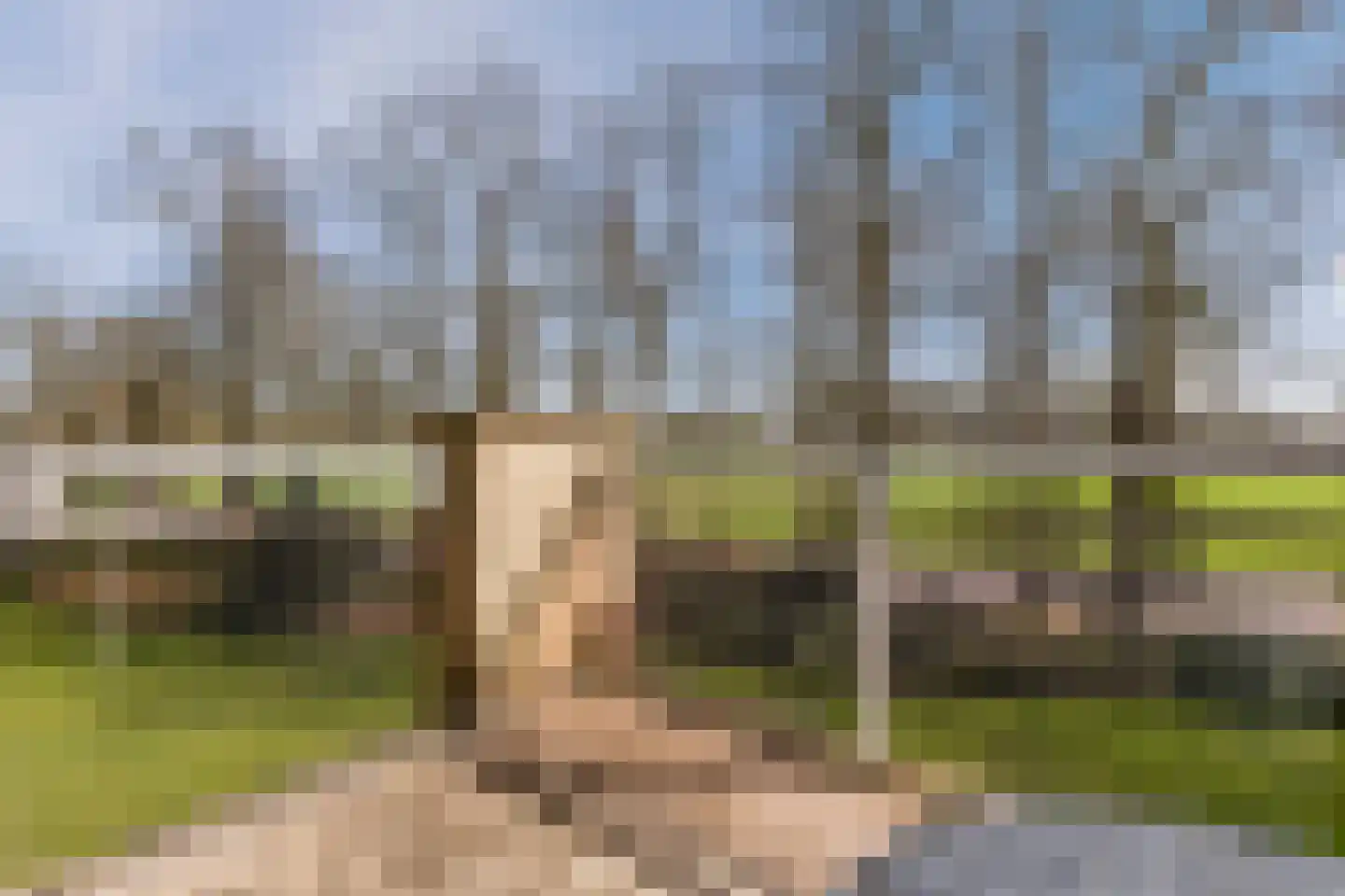 Boomgaard 13 Ruurlo thumbnail 7