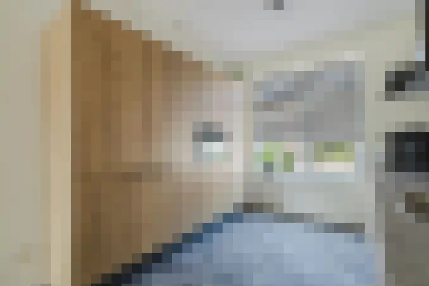 Boomgaard 14 Zundert thumbnail 15