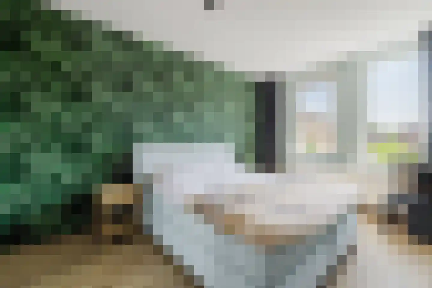 Boomgaard 14 Zundert thumbnail 18