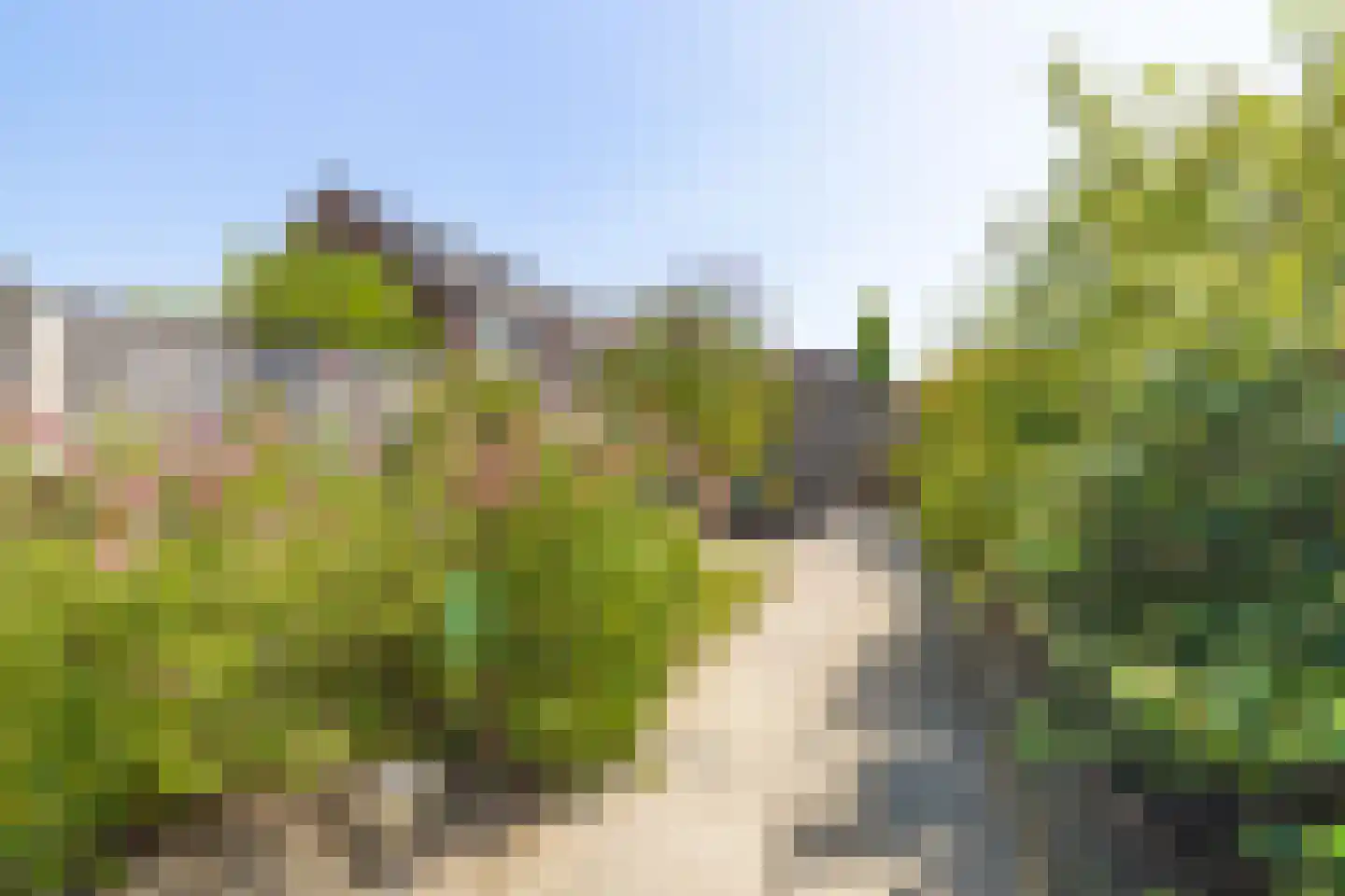 Boomgaard 14 Zundert thumbnail 33