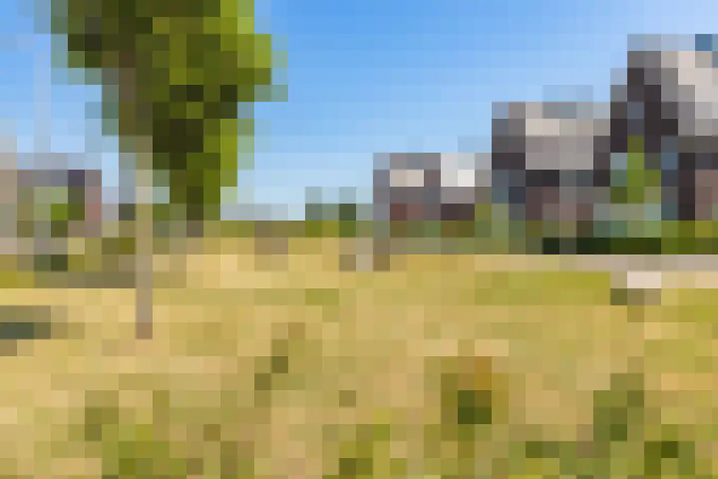 Boomgaard 14 Zundert thumbnail 38