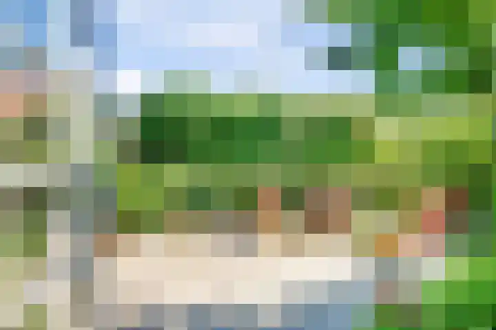 Boomgaard 18 Zuid-Scharwoude thumbnail 42