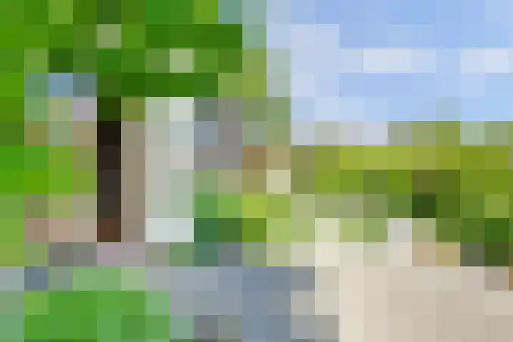 Boomgaard 18 Zuid-Scharwoude thumbnail 44