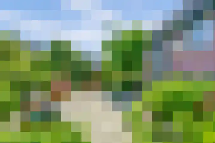 Boomgaard 18 Zuid-Scharwoude thumbnail 45