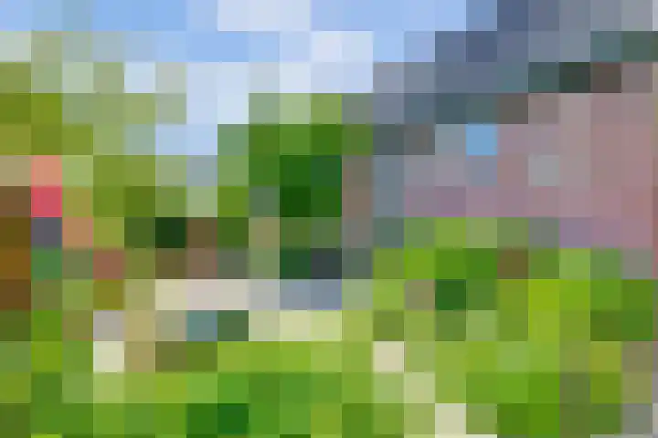 Boomgaard 18 Zuid-Scharwoude thumbnail 46