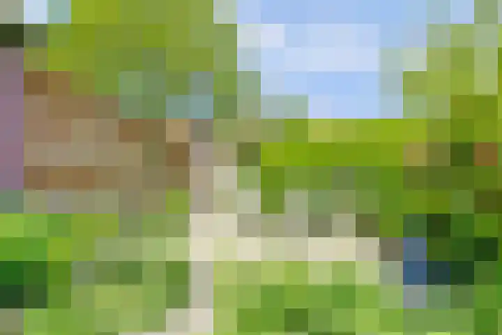 Boomgaard 18 Zuid-Scharwoude thumbnail 47