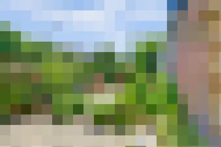 Boomgaard 18 Zuid-Scharwoude thumbnail 48