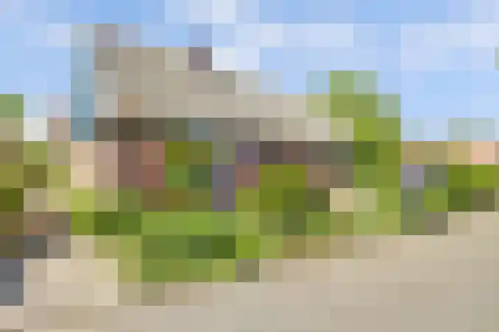 Boomgaard 18 Zuid-Scharwoude thumbnail 51