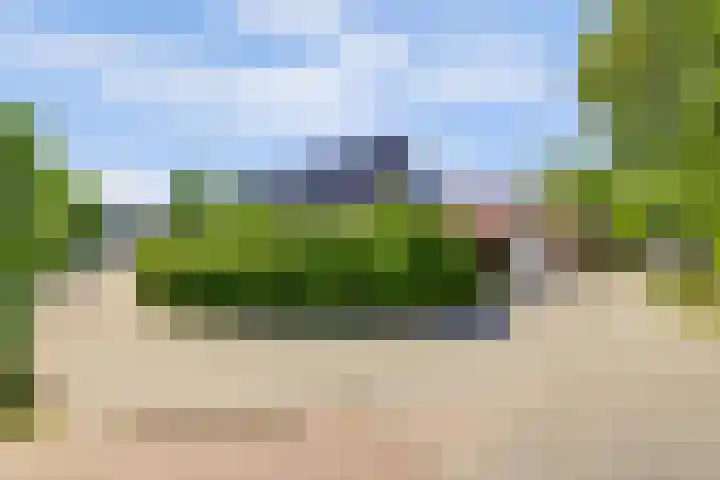Boomgaard 18 Zuid-Scharwoude thumbnail 54