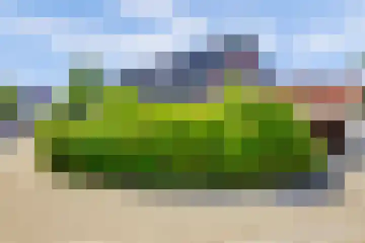 Boomgaard 18 Zuid-Scharwoude thumbnail 55