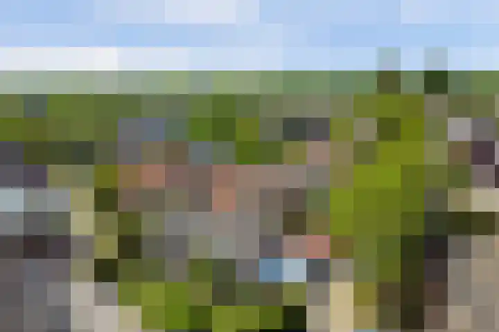 Boomgaard 18 Zuid-Scharwoude thumbnail 59