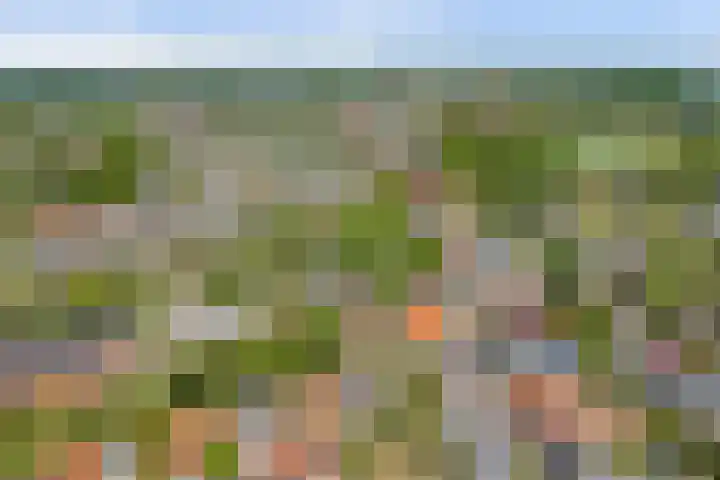 Boomgaard 18 Zuid-Scharwoude thumbnail 60
