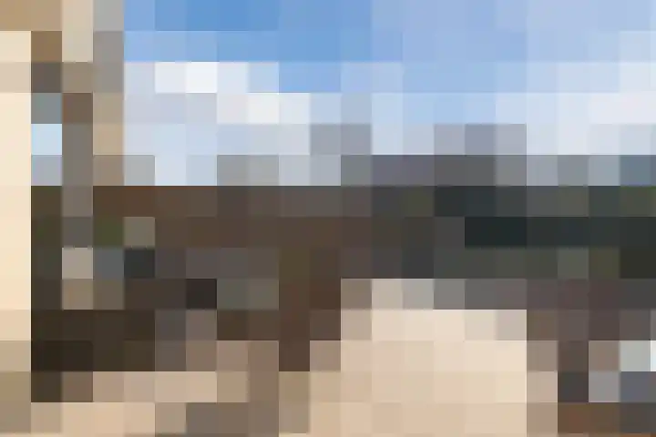 Boomgaard 192 IJsselstein thumbnail 57
