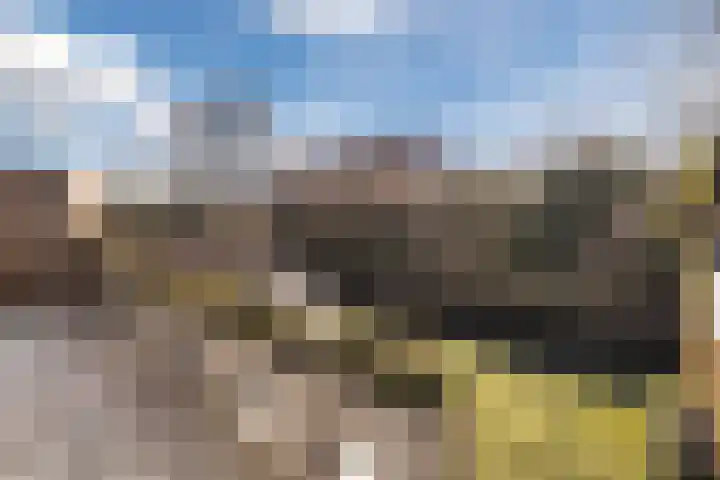 Boomgaard 192 IJsselstein thumbnail 62