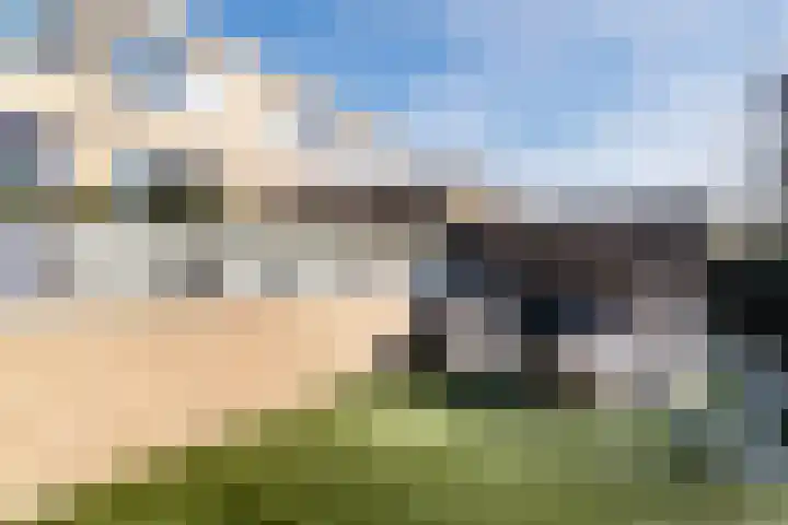 Boomgaard 192 IJsselstein thumbnail 63