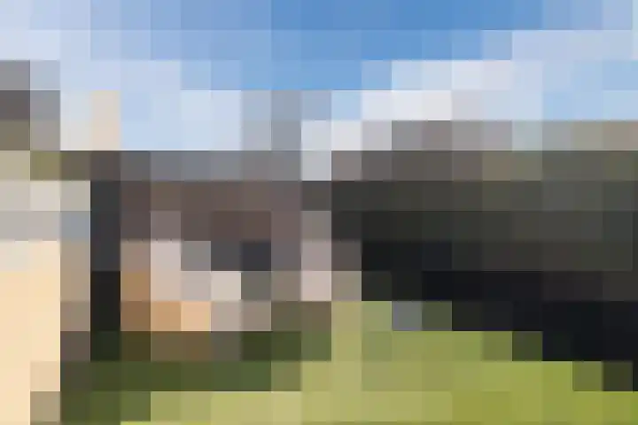 Boomgaard 192 IJsselstein thumbnail 64